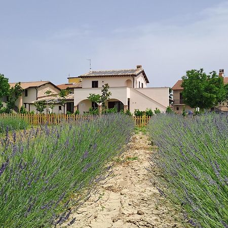 L'Antico Fienile Villa Montefalco Dış mekan fotoğraf
