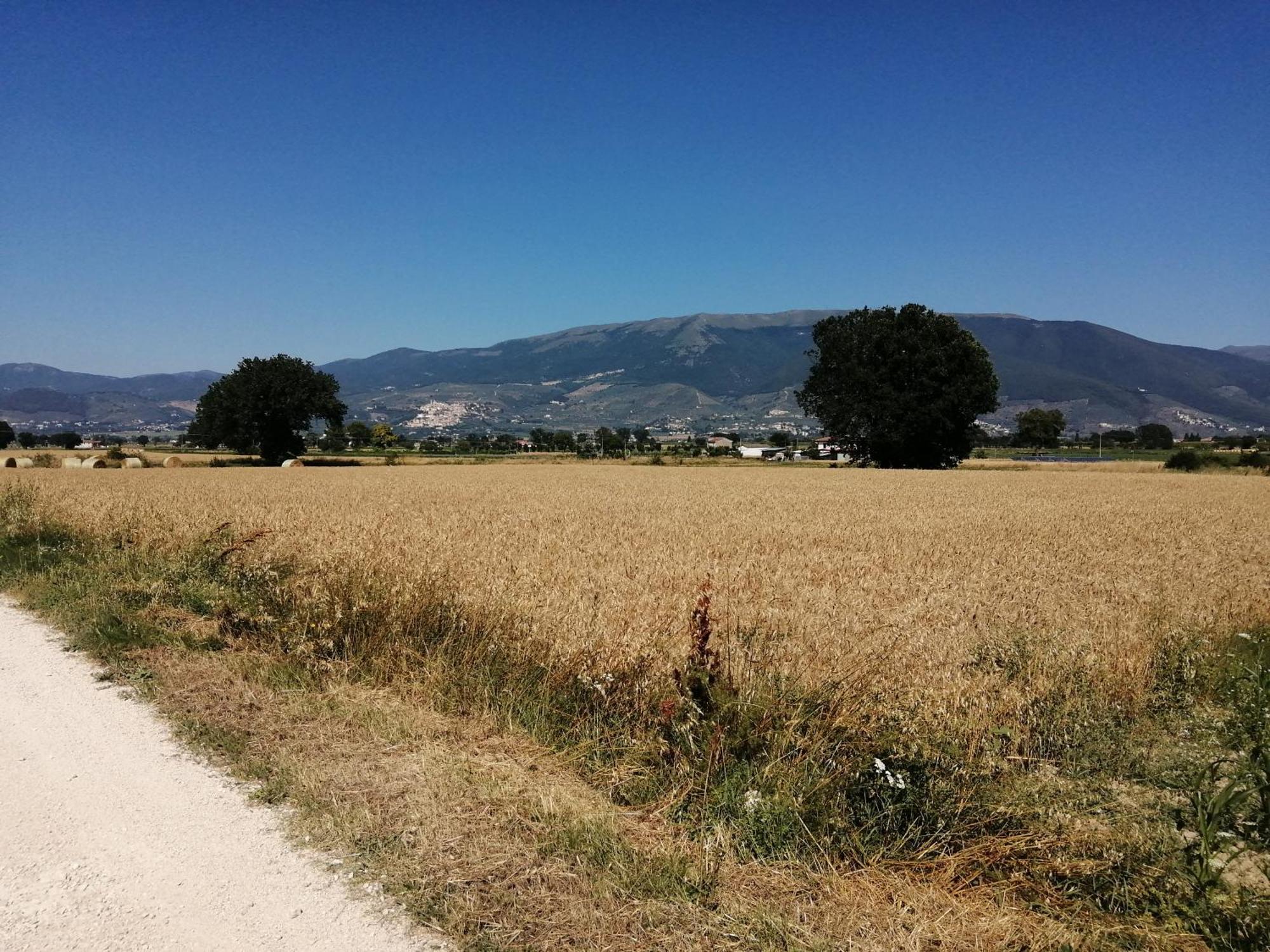 L'Antico Fienile Villa Montefalco Dış mekan fotoğraf