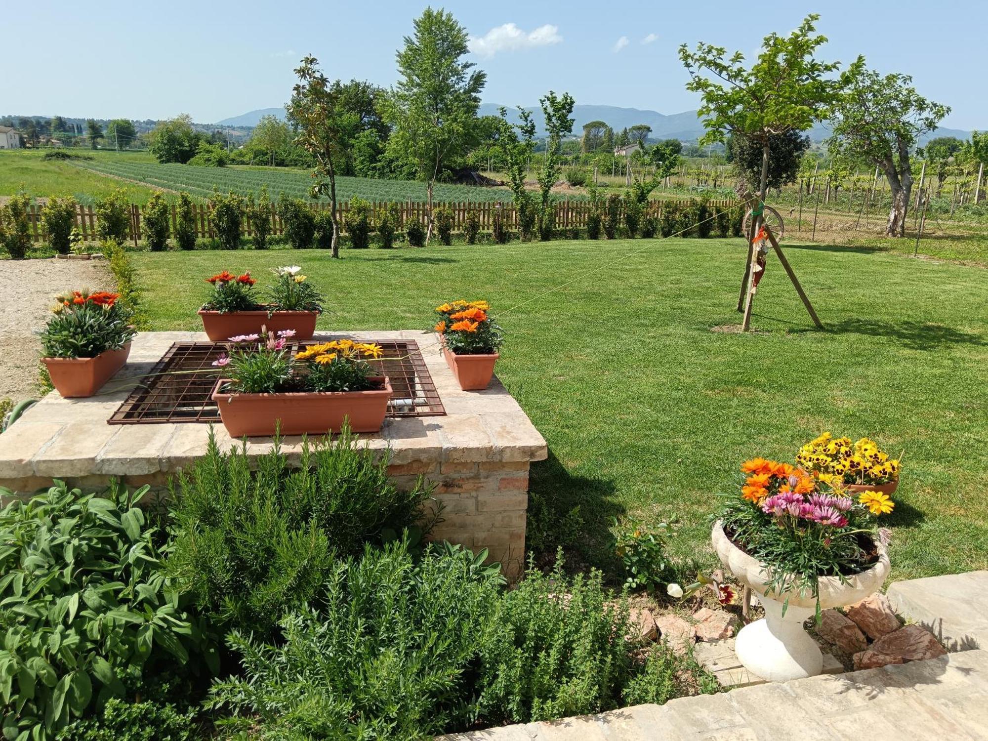 L'Antico Fienile Villa Montefalco Dış mekan fotoğraf