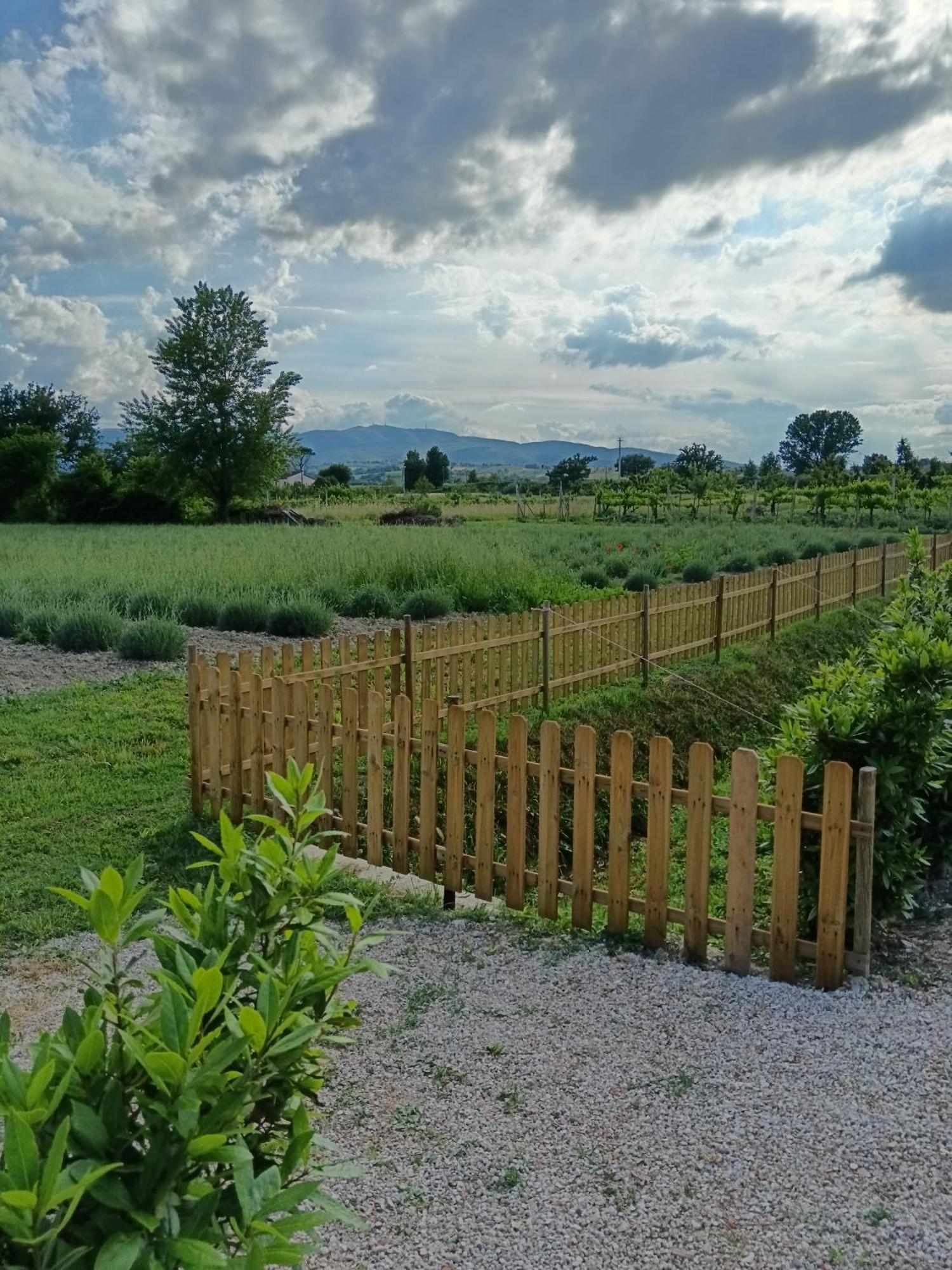 L'Antico Fienile Villa Montefalco Dış mekan fotoğraf