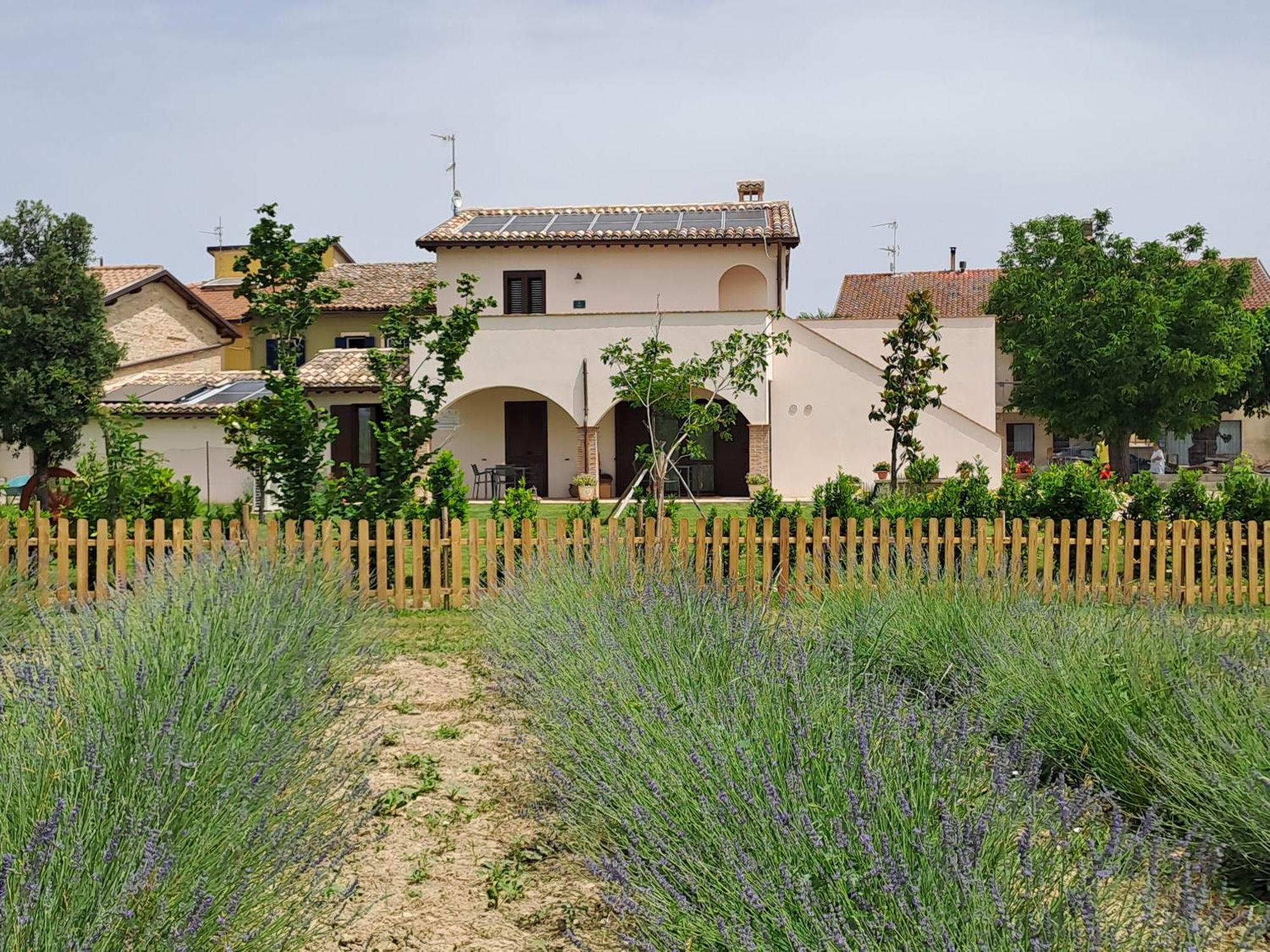 L'Antico Fienile Villa Montefalco Dış mekan fotoğraf