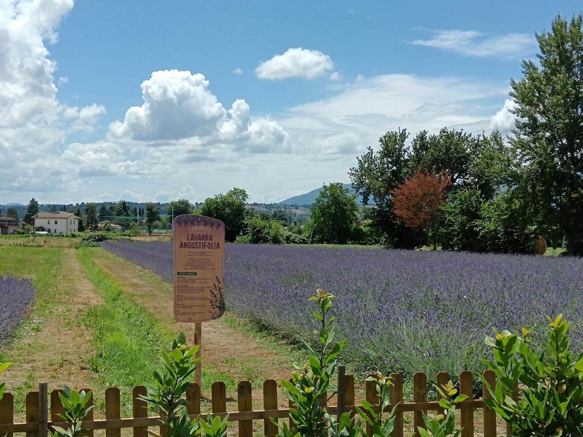 L'Antico Fienile Villa Montefalco Dış mekan fotoğraf