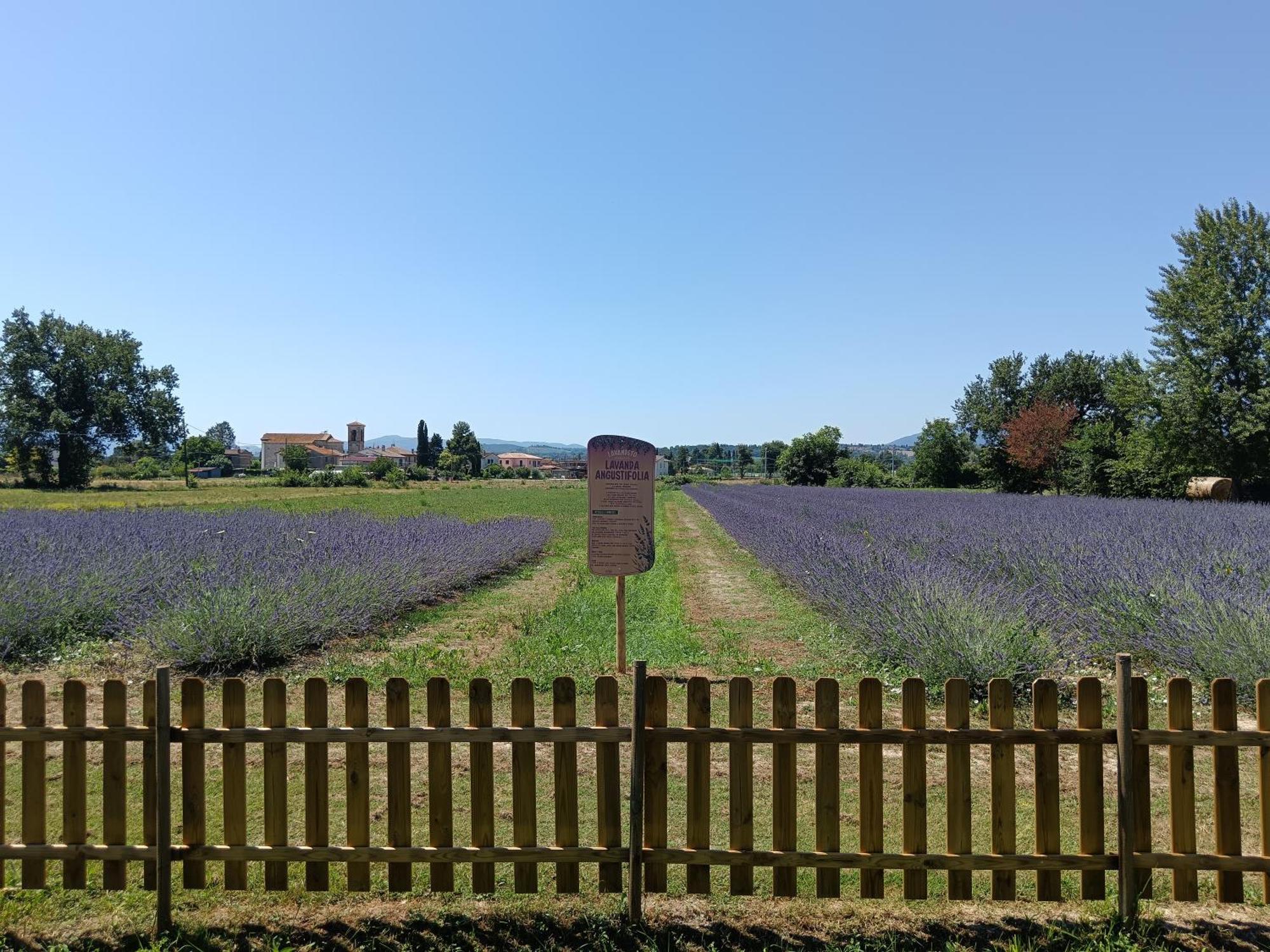 L'Antico Fienile Villa Montefalco Dış mekan fotoğraf