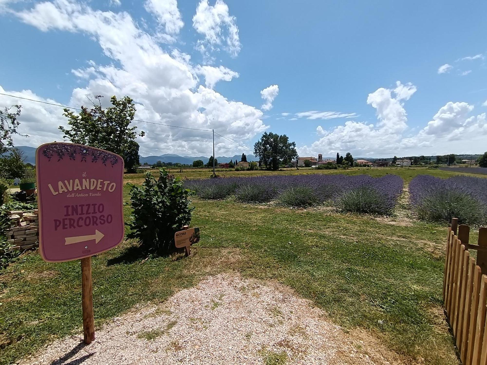 L'Antico Fienile Villa Montefalco Dış mekan fotoğraf